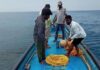Visakhapatnam Beaches Mapped, 122 High-risk Days Identified