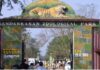 Mist Sprays, Foggers, Cooling Pools and Water-Rich Diets: Nandankanan Zoo Preps for ‘Intense Heat’