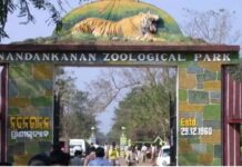Mist Sprays, Foggers, Cooling Pools and Water-Rich Diets: Nandankanan Zoo Preps for ‘Intense Heat’