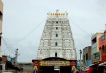 Woman Collapses, Dies Near Tiruchanoor Temple