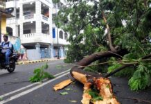 Storm in Kadapa; Several Villages Plunge into Darkness
