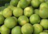 Sweet Lime Prices Touch Rs 1 Lakh per Tonne in Kadapa