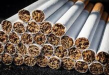 World No Tobacco Day: Tamil Nadu Tops Tobacco Violations As Per NCRB Data