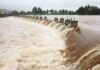Krishna, Godavari Staring at Deficit Rains in Catchment Areas