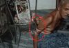 Odisha : Paralysed Man Held Hostage By Snake For Two Terrifying Hours