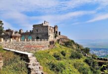 Vizag Plans Night Safari Within Its Tourist Landscape