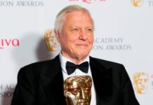 ‘The greatest ambassador for life on Earth’: Tributes paid to David Attenborough on his 100th birthday