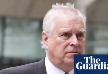 Palace was given emails about Andrew’s trade envoy activities six years ago, report says