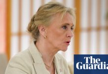 Iceland’s foreign minister fears ‘Brexit moment’ in country’s EU accession referendum