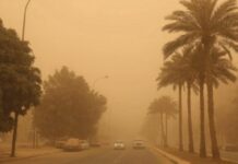 “الأرصاد”: أتربة مثارة على منطقتي نجران وتبوك