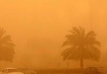 تسجيل 116 ساعة غبارية في الإقليم.. والسعودية ثاني أعلى الدول تأثرًا