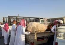 جدة.. 10 مواقع لبيع الأنعام عبر السيارات المتنقلة خلال موسم الحج