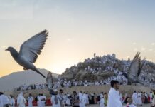 عاجل: «المرور» لـ«اليوم»: منع دخول المركبات غير المصرح لها إلى المشاعر بدءًا من فجر الخامس من ذي الحجة