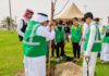 زراعة 6600 شجرة في القطيف لتعزيز الغطاء النباتي والاستدامة البيئية
