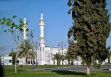 تبوك.. تجهيز 333 جامعًا ومصلى لأداء صلاة عيد الأضحى