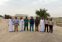 جولات ميدانية لرصد المسالخ العشوائية للدواجن بالأحساء