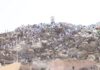 صور| أصوات التلبية تعانق سماء عرفات.. وحركة الحجاج تسير بانسيابية عالية