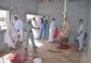 عاجل – الشرقية.. ضبط 122 حالة ذبح عشوائي و13 طناً من الأغذية الفاسدة خلال العيد