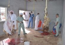 عاجل – الشرقية.. ضبط 122 حالة ذبح عشوائي و13 طناً من الأغذية الفاسدة خلال العيد