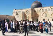 عشرات المستعمرين يقتحمون المسجد الأقصى ويتجولون في باحاته