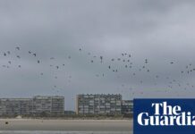 Two female Sudanese asylum seekers die trying to cross Channel