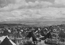The secret mission to rescue the UN’s vital Palestinian refugee archive