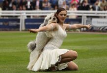 Where BGT winner Ashleigh Butler is now from romance to Pudsey’s tragic death