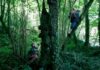 Half of UK adults say they spend less than three hours a week outside in nature