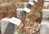 Bodies with names: Inside Gaza’s cemetery of the missing