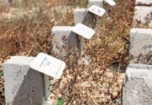 Bodies with names: Inside Gaza’s cemetery of the missing
