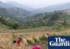Free up fertiliser supplies to avert global food crisis, Yvette Cooper urges