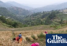 Free up fertiliser supplies to avert global food crisis, Yvette Cooper urges