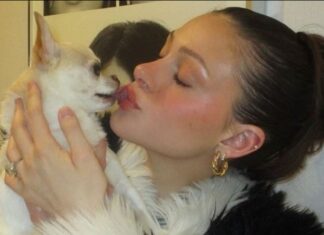 Nicola Peltz ‘ends legal action’ against dog groomers after death of beloved pet