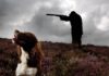 Dog shoots woman in Nebraska