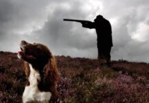 Dog shoots woman in Nebraska