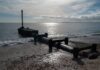 High levels of toxic ‘forever chemicals’ found off coast of southern England