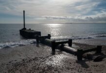High levels of toxic ‘forever chemicals’ found off coast of southern England