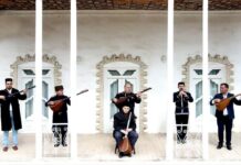 Iranian Ashiq music tradition struggles for survival amid calls for greater support