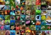 Preserving biodiversity; actions and necessities