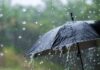 Rainfall increases by 3.8% compared to long-term