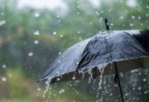 Rainfall increases by 3.8% compared to long-term