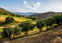 DOE details measures to strengthen preservation of natural habitats