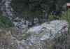 8 Killed As Car Carrying Tourists Plunges Into 500-Metre Gorge In Himachal’s Chamba