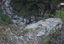 8 Killed As Car Carrying Tourists Plunges Into 500-Metre Gorge In Himachal’s Chamba