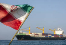 US has no authority to meddle in Hormuz – Iranian professor