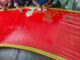 Samantha Ruth Prabhu’s hand-painted Kalamkari sari took nearly 250 hours to make
