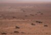 2 U.S. service members missing after multinational war games in Morocco