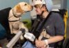 Meet the hospital dogs ‘making a real difference’ by getting sick kids to smile
