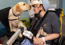 Meet the hospital dogs ‘making a real difference’ by getting sick kids to smile