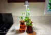 15 Best Gifts for Plant Lovers and Gardeners (2026)